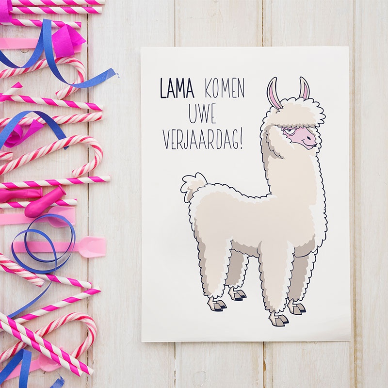 Lama verjaardag - Afbeelding 3